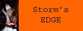 edgesbutton.jpg